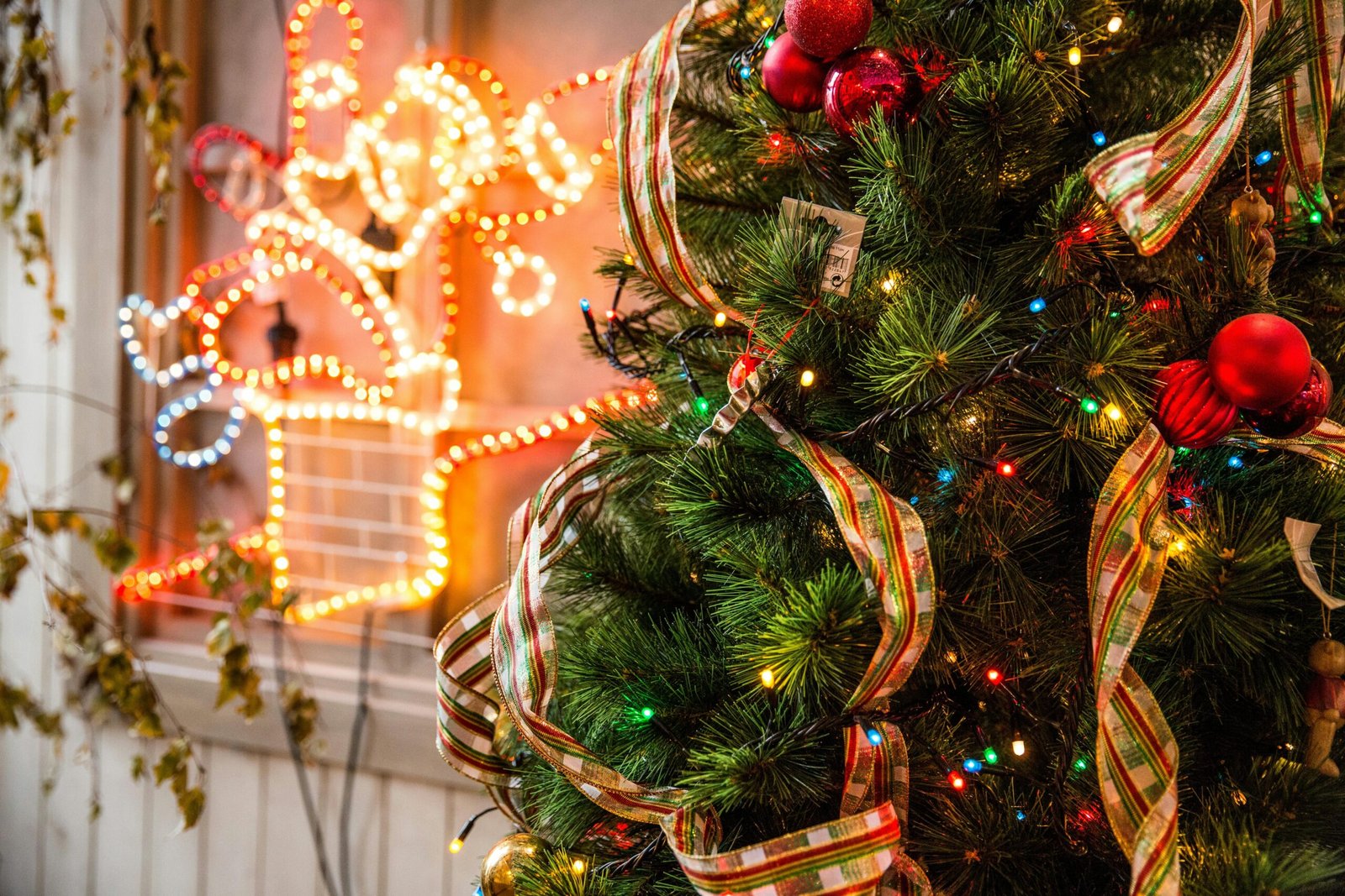 ๐ Top 10 Best Christmas Decorations Under $20 (2024 Guide) ๐ Top 10 Best Christmas Decorations Under $20 (2024 Guide)