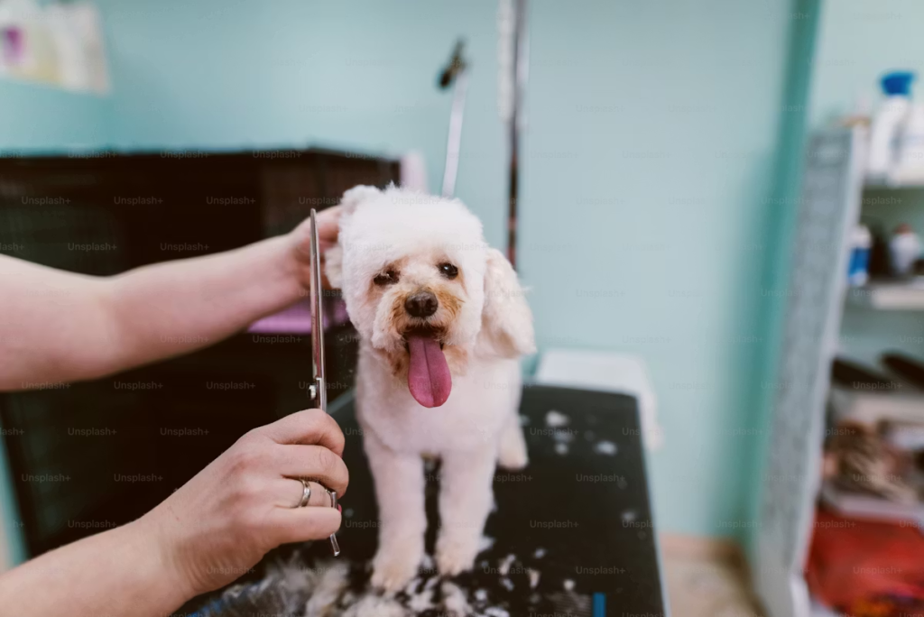 Bathing and Cleaning image