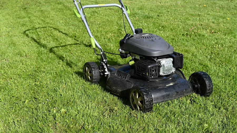 Landscaping & Yard Care image