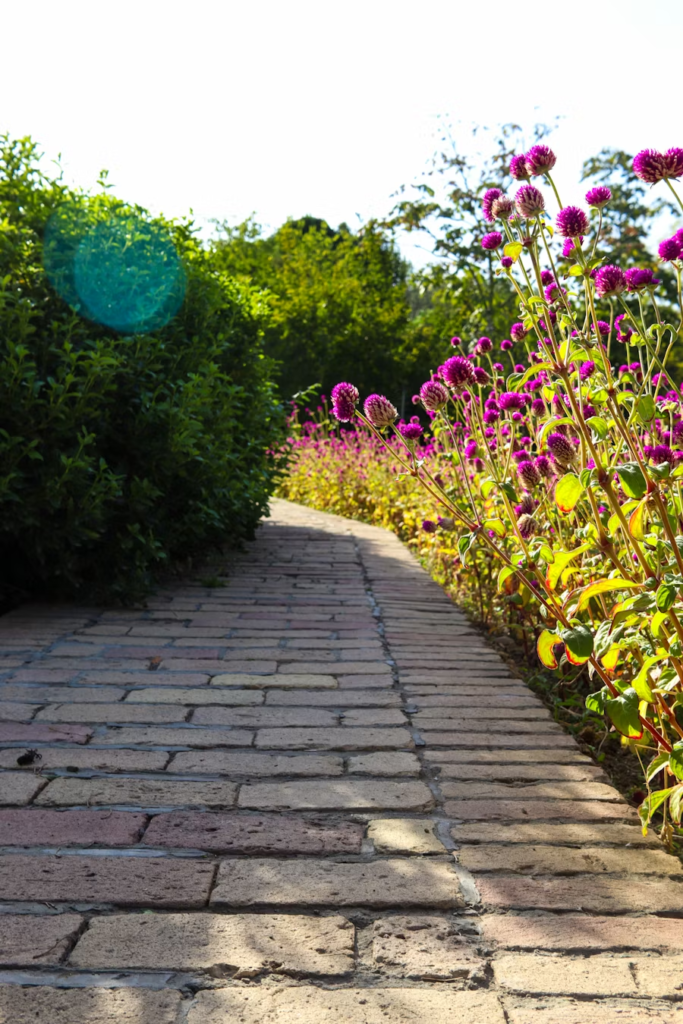 Landscaping & Yard Care image