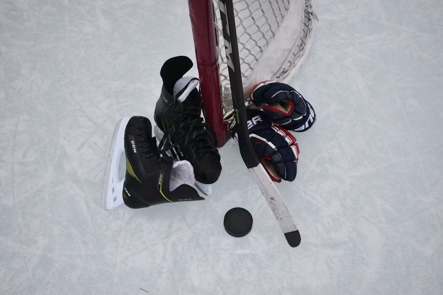 NHL Hockey image
