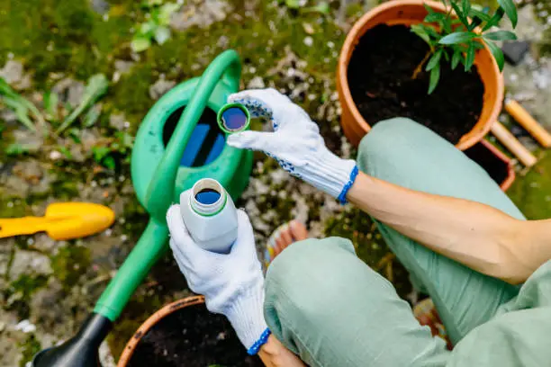 Plant Health & Growth image