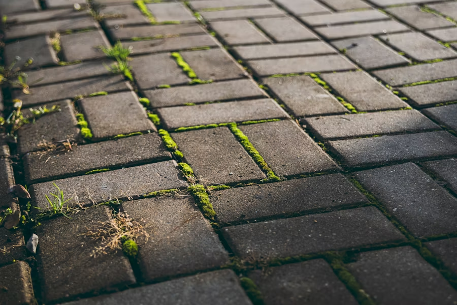 Hardscaping image