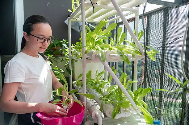 Indoor & Hydroponic Gardening image