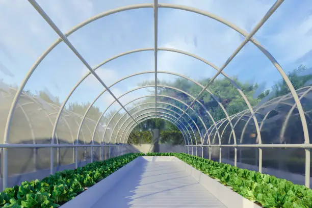 Indoor & Hydroponic Gardening image