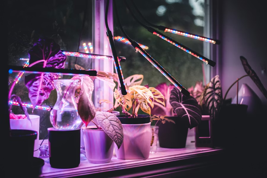 Indoor & Hydroponic Gardening image