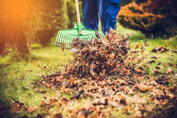 Seasonal Yard Care image