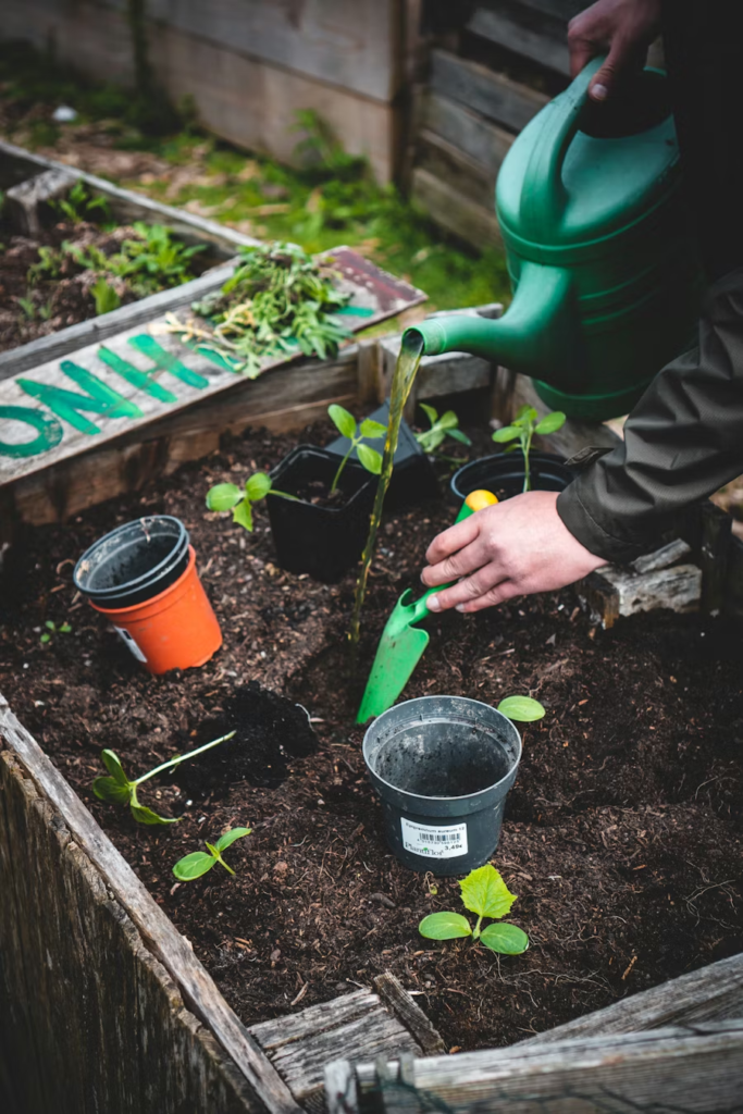 Seasonal Yard Care image