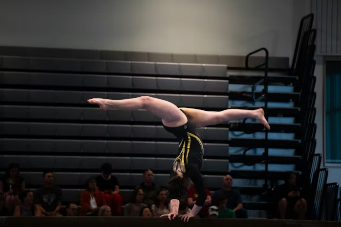 Individual and Olympic Sports image